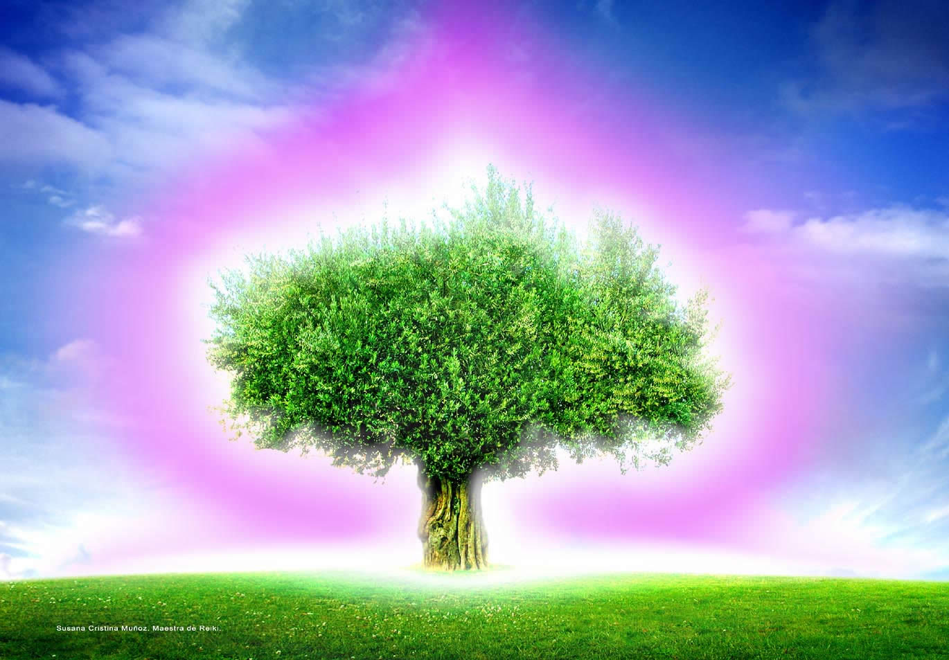 rbol de luz. Susan.
